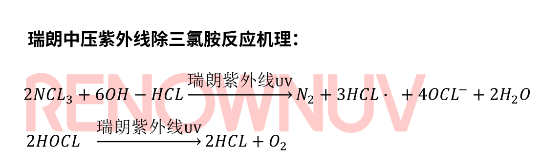 瑞朗中壓紫外線去三氯胺